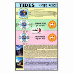 Tides Chart